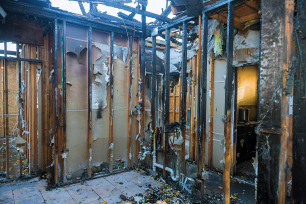 Professional Odor Removal technician working in Mountain City, GA